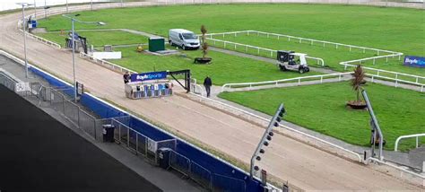 trials results shelbourne park greyhound stadium.